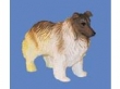 E3717  shetland sheepdog