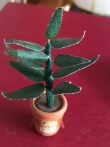 X 6138 plant groen