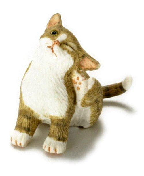 kat krabt aan behang kat krabt aan oor avontuur in miniatuur kat krabt aan behang kat krabt aan oor avontuur in miniatuur