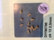 96-796 knopjes  12 2,5mm 
