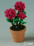 75660 bloem in pot