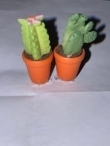 854-39 cactus
