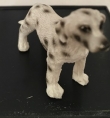 900-008 dalmatier staande 