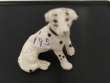 900-003 Dalmatier zit