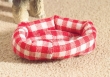 5776 Mand kat of hond