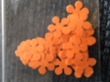 038 Bloem oranje 