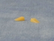 D89618 stukje kaas  klein