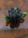 X theepot aubergine