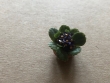 Ams11 plantje paars 