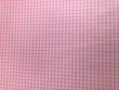 X wal 703B rose ruitje