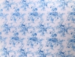 X wal892 blauw wit
