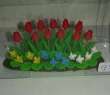 Tulpen 