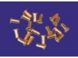 eyelets /busjes 