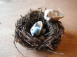 Nest met vogeltjes en eieren