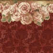Rose damask red